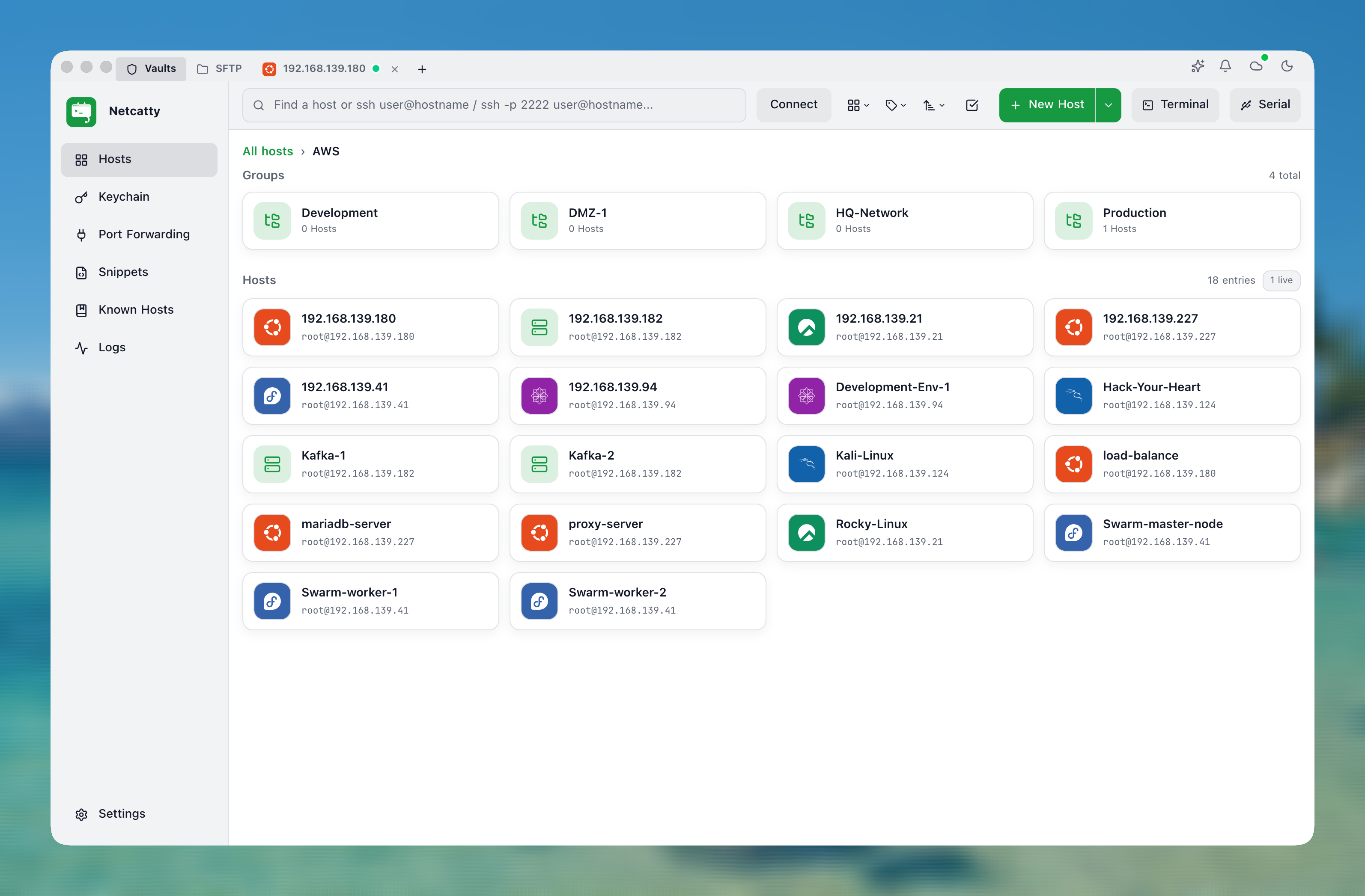 Netcatty：一个现代化的 SSH 客户端、SFTP 浏览器 & 终端管理器